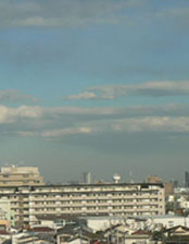 f0086169_19573857.jpg