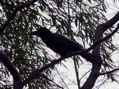 f0086169_20322696.jpg