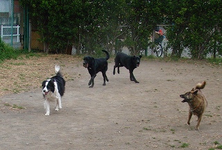 b0003270_13315376.jpg