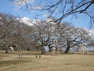 e0106372_13171428.jpg