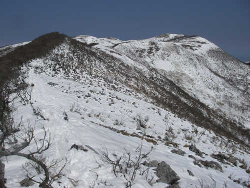 c0002874_21103458.jpg