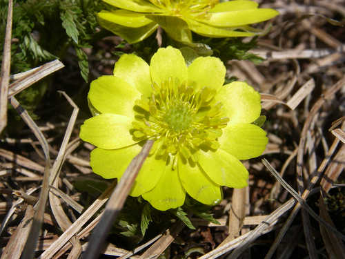 c0002874_21114686.jpg