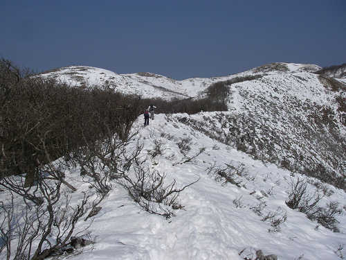 c0002874_21134333.jpg