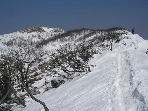 c0002874_2114223.jpg