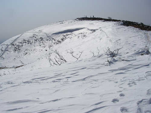 c0002874_21173346.jpg