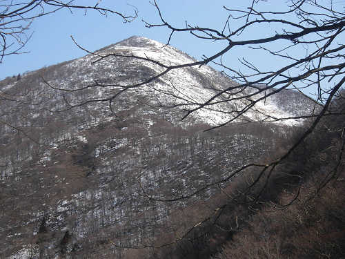 c0002874_2143843.jpg