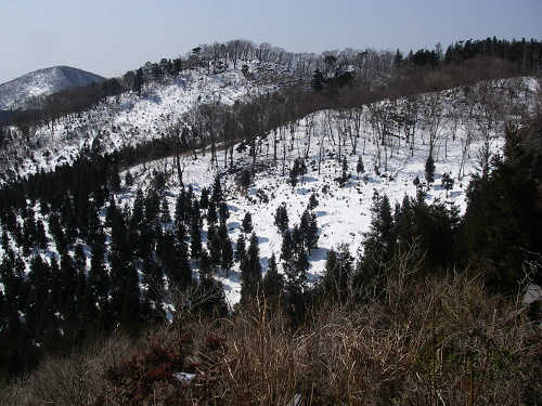 c0002874_2154787.jpg