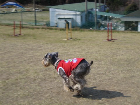b0074782_18341757.jpg
