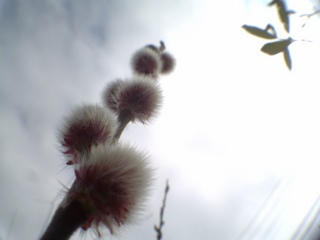 e0116383_22104268.jpg