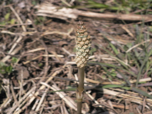 a0056686_22162077.jpg