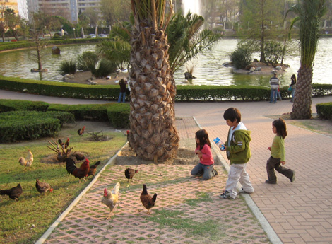 e0023086_5452396.jpg