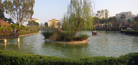 e0023086_5584313.jpg