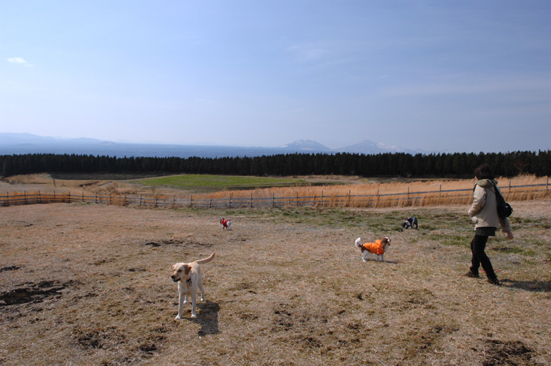 f0112087_15133343.jpg