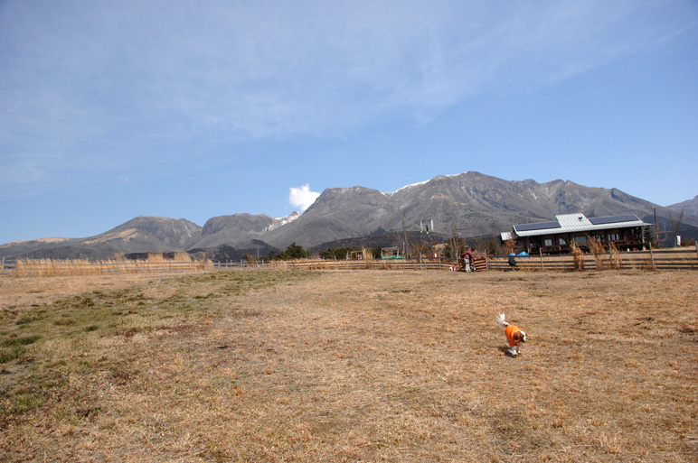 f0112087_15151185.jpg