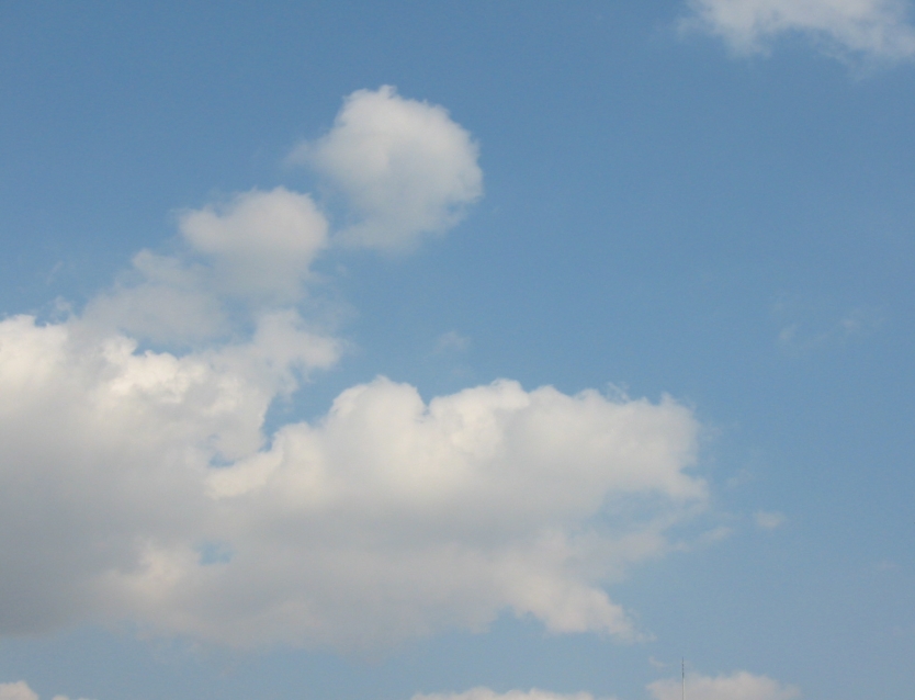 b0089492_1731588.jpg