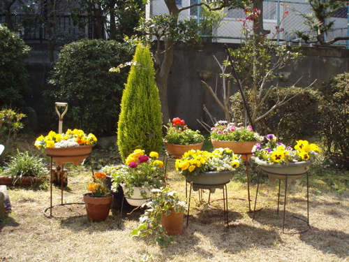 f0130894_215906.jpg