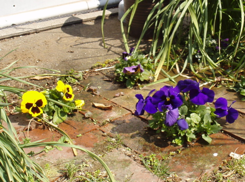 f0130894_2271763.jpg