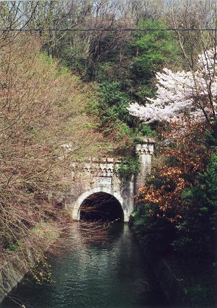 f0010195_031668.jpg