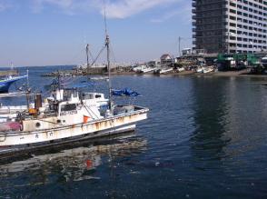 c0008598_2113574.jpg