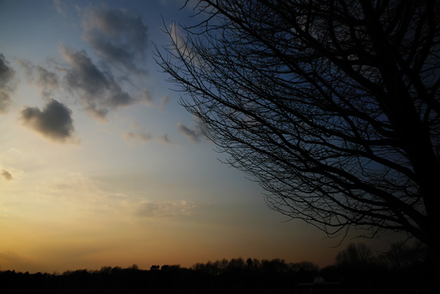 a0008508_23183.jpg