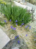 f0054809_13524158.jpg