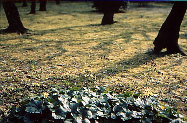 f0121111_21504929.jpg