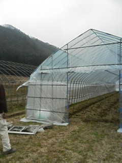 f0096416_19502463.jpg
