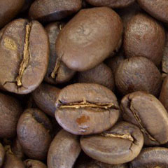 c0036617_21574248.jpg