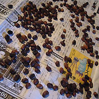 d0023725_15393760.jpg