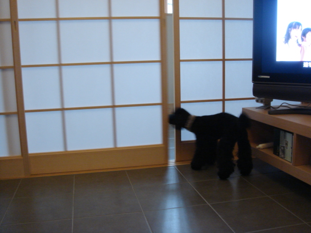 f0076529_0384492.jpg
