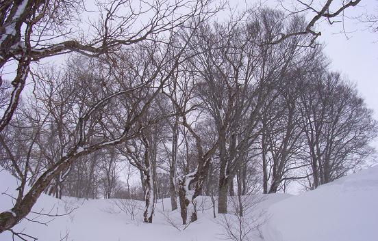 f0118332_074623.jpg