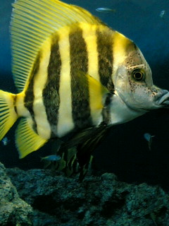 b0080033_222841.jpg