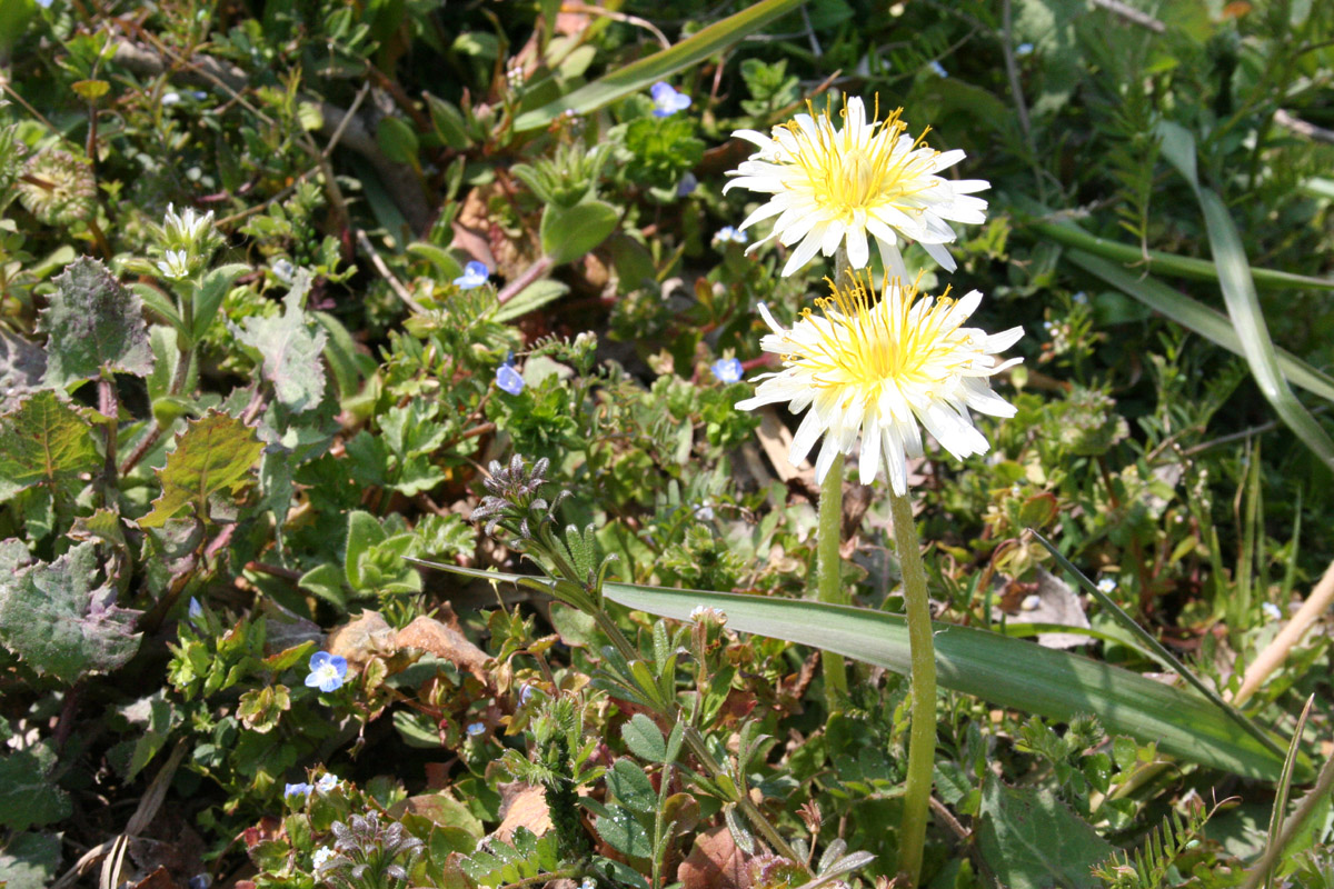 c0073633_2150059.jpg