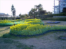 f0039934_2323785.jpg