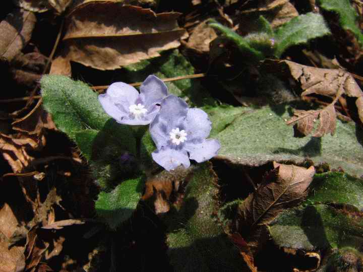 e0014441_2114656.jpg
