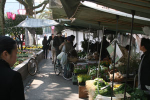 f0111546_2075088.jpg