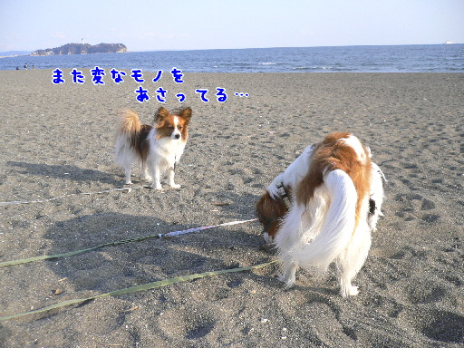 d0013149_025938.jpg