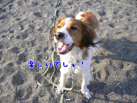 d0013149_041077.jpg