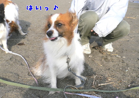 d0013149_074542.jpg