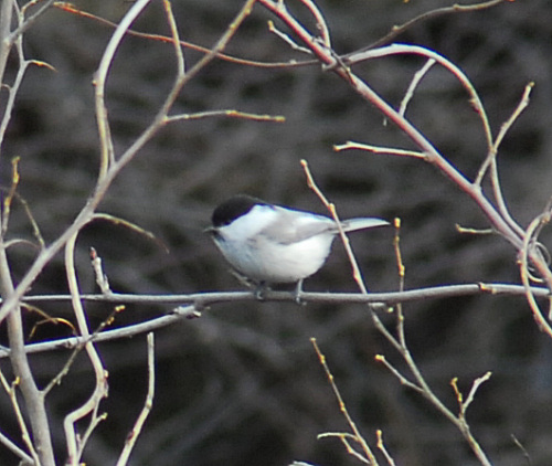 e0029553_22274344.jpg