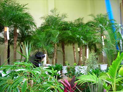 e0097770_22574429.jpg
