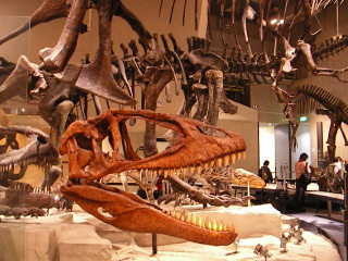 b0109874_21154250.jpg