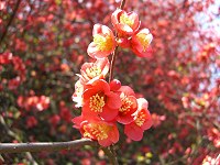 b0004675_13102381.jpg