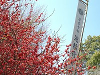 b0004675_13103273.jpg