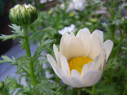 a0043982_0264666.jpg