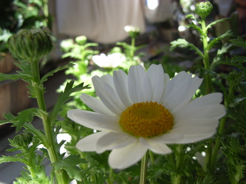 a0043982_0265621.jpg