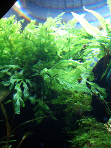 a0049090_0265230.jpg