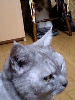 a0045697_23194858.jpg