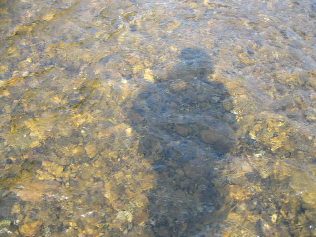 f0137499_11414484.jpg