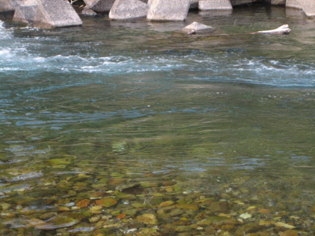 f0137499_11422032.jpg